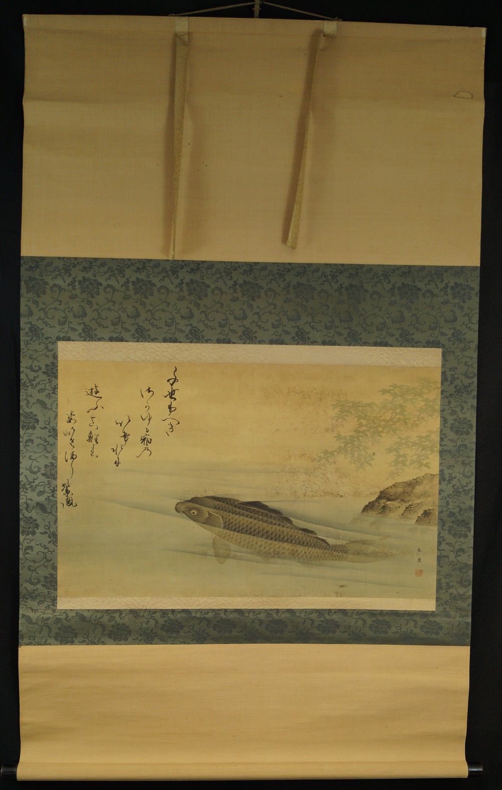Carp in the water full view hanging scroll