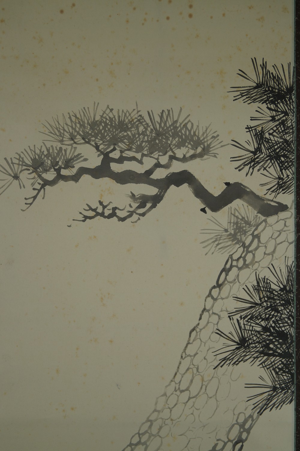Kakemono Old Pine Pine Motif Close-Up