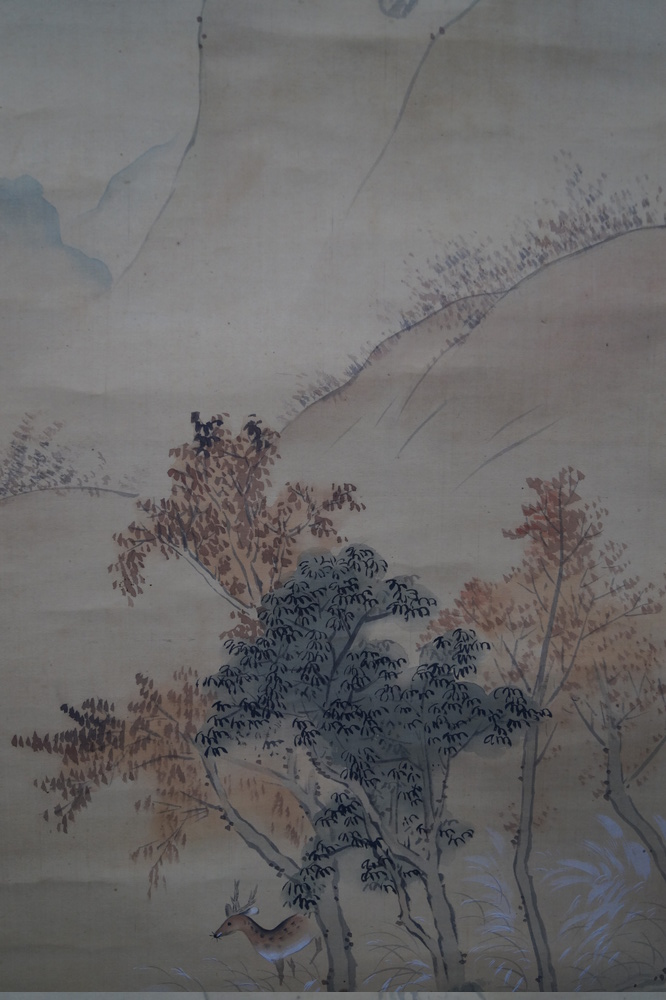 Makuri Small Deer Deer Close-Up 1