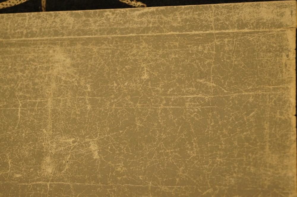 Vogel Kakemono Montierungsdetail 1