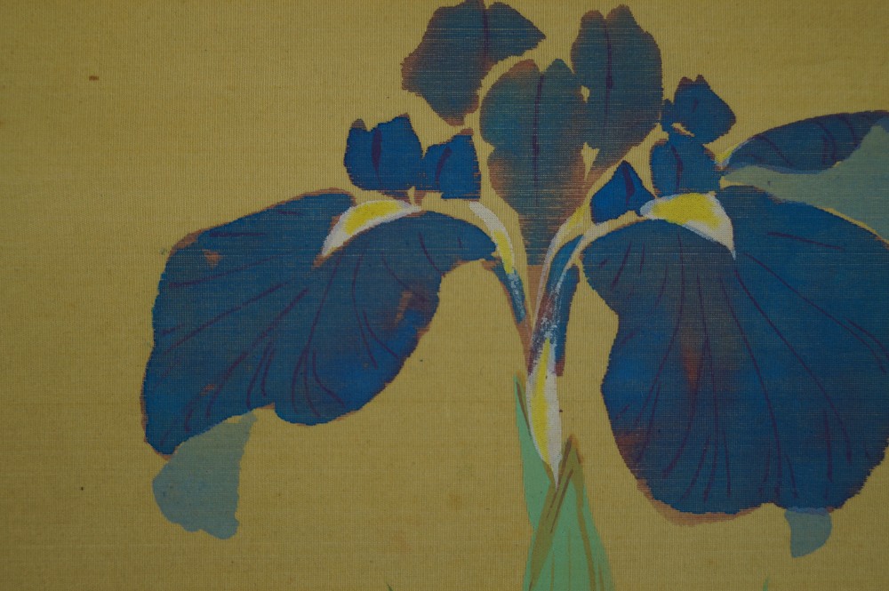 Irises iris motif close-up 1