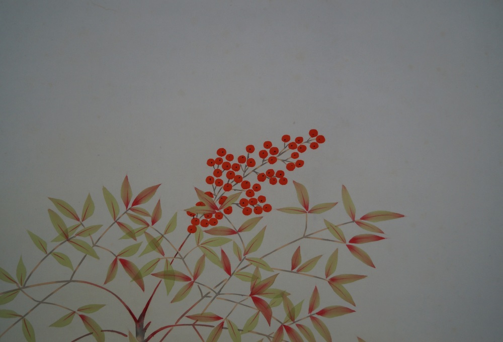 Bird and Flower berries close-up 1