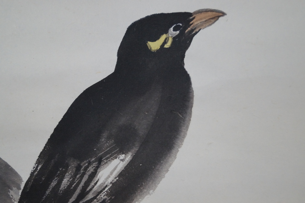 Der Vogel am Granatapfelbaum Makuri Vogel-Motiv Nahaufnahme 2