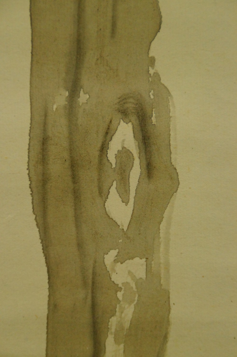 Kingfisher by the River by Daiya Wooden Post Close-Up 2