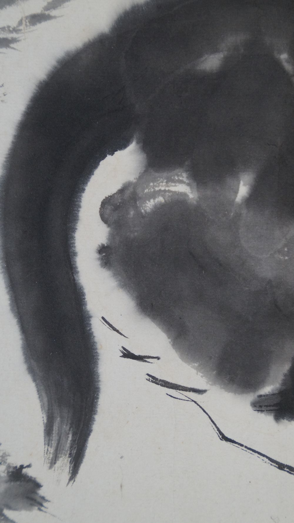 Close-up of the curved cat's tail in the Makuri Black Cat and Dragonfly