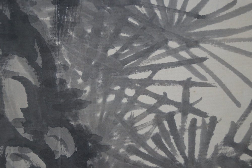 The Old Pine Pine Close-Up 3