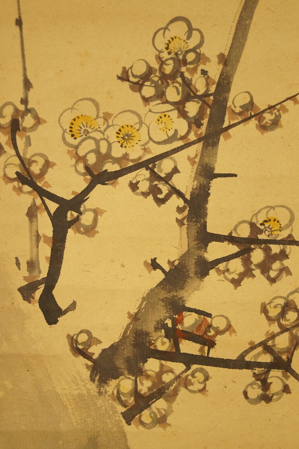 Sakura Plum Blossom Close-Up 2