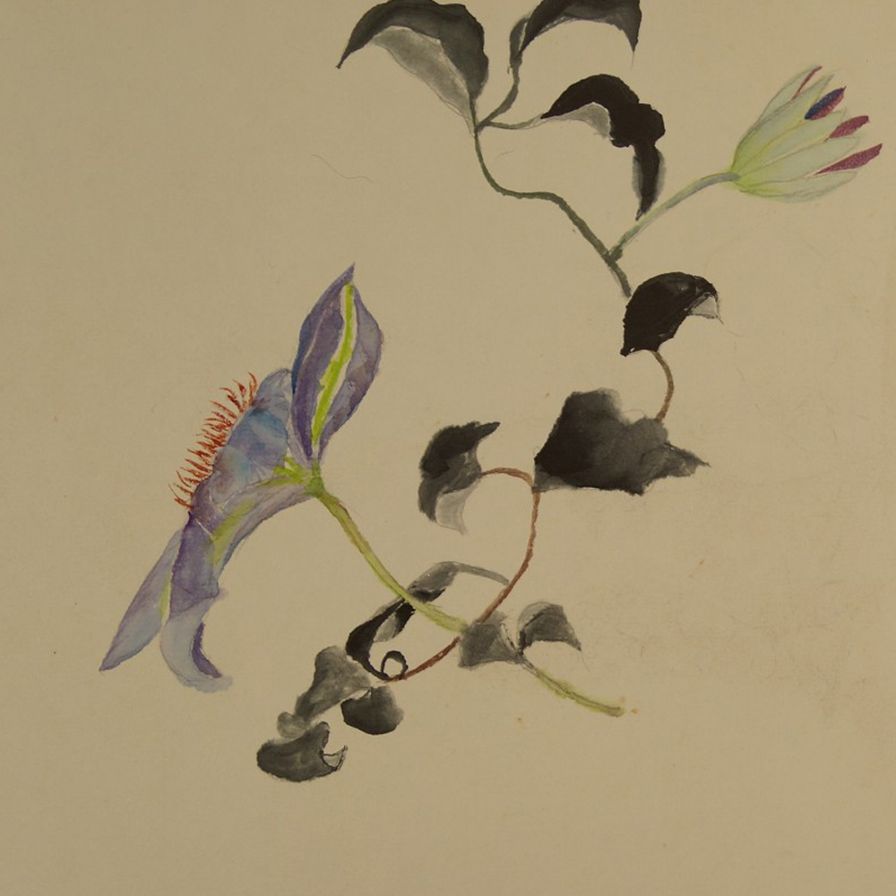 Shikishi Blume Motiv Nahaufnahme Vorschau
