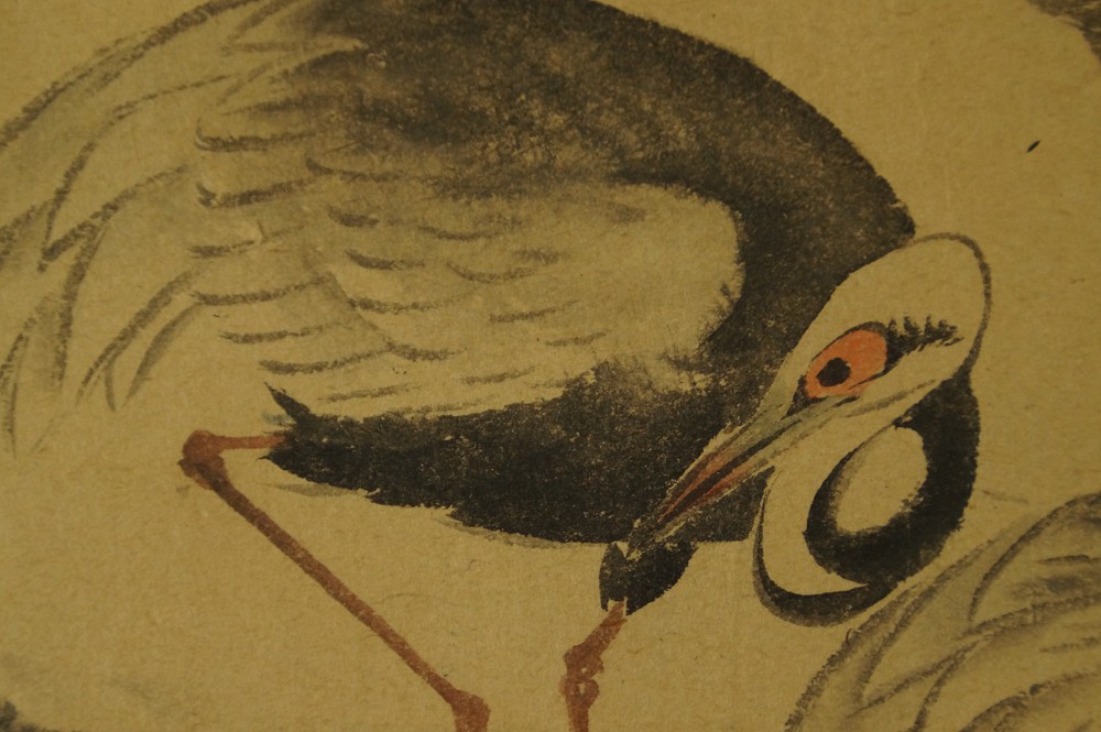 Close-up of the preening crane with red crown