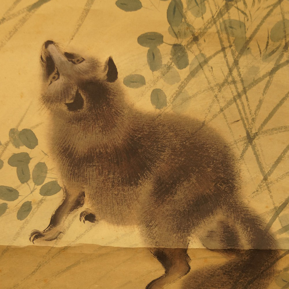 Raccoon Dog Motif Close-Up Preview