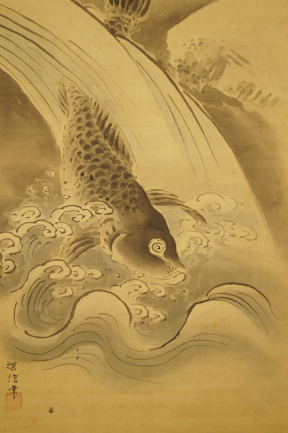 Koi mit weit aufgerissenen Augen unter senkrechtem Wasserfall Koi-Motiv Nahaufnahme 3