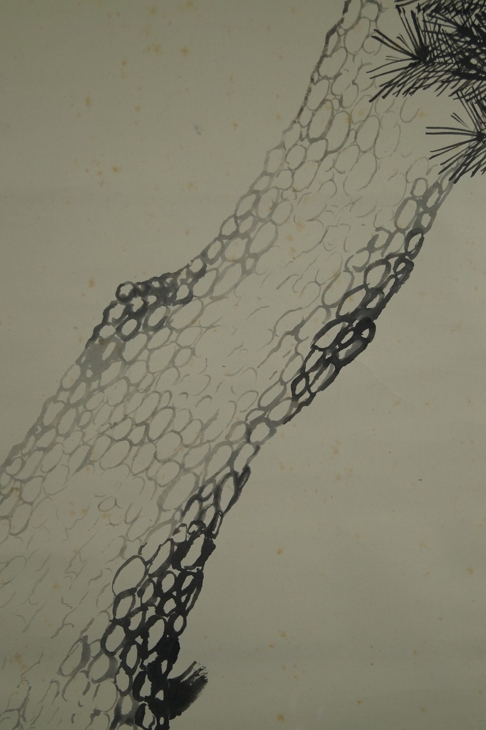 Kakemono Old Pine Pine Motif Close-Up 2