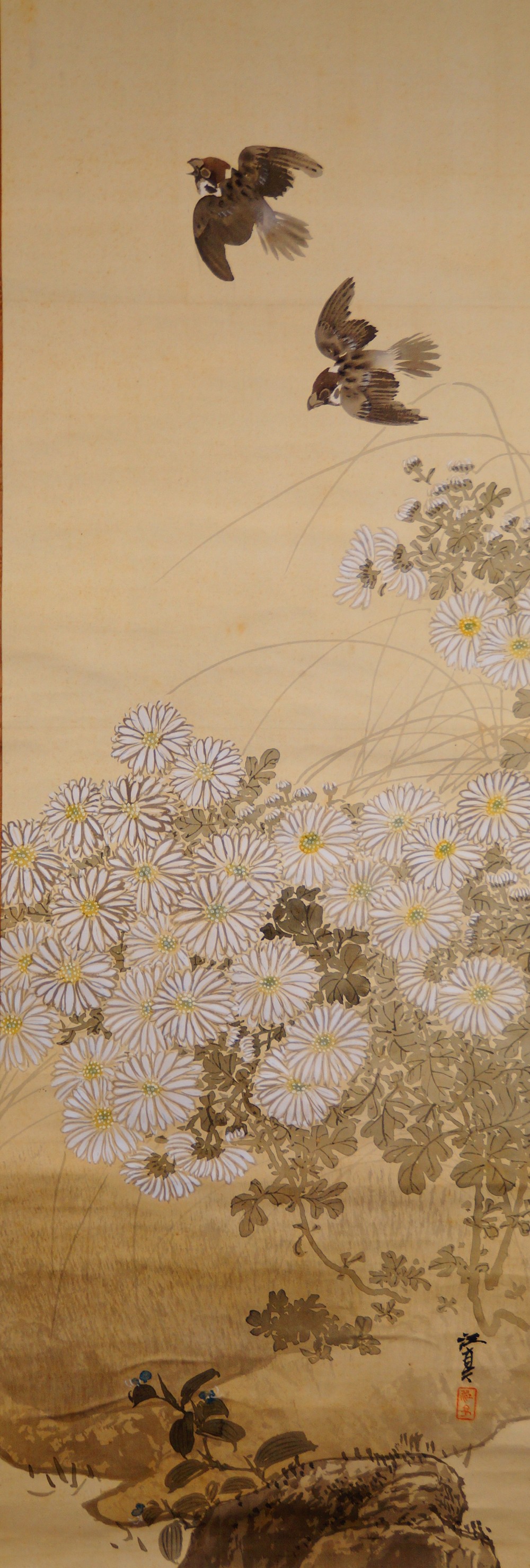 Sparrows over Chrysanthemums Hanging Scroll by Fukui Kotei Full Motif Without Mounting