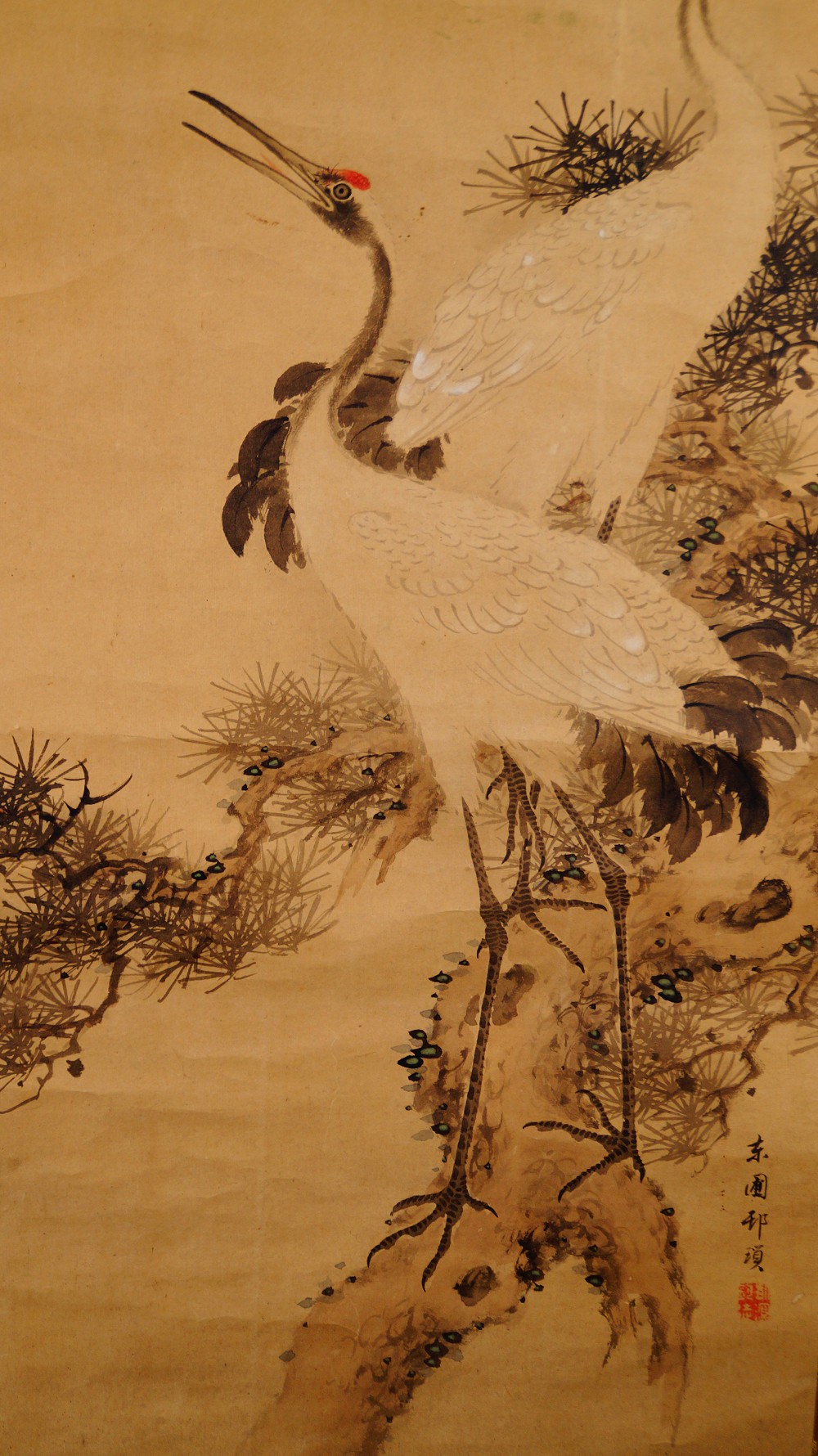 Close-Up of the Two Crane Heads with Red Crown and Long Beaks by Murata Toho