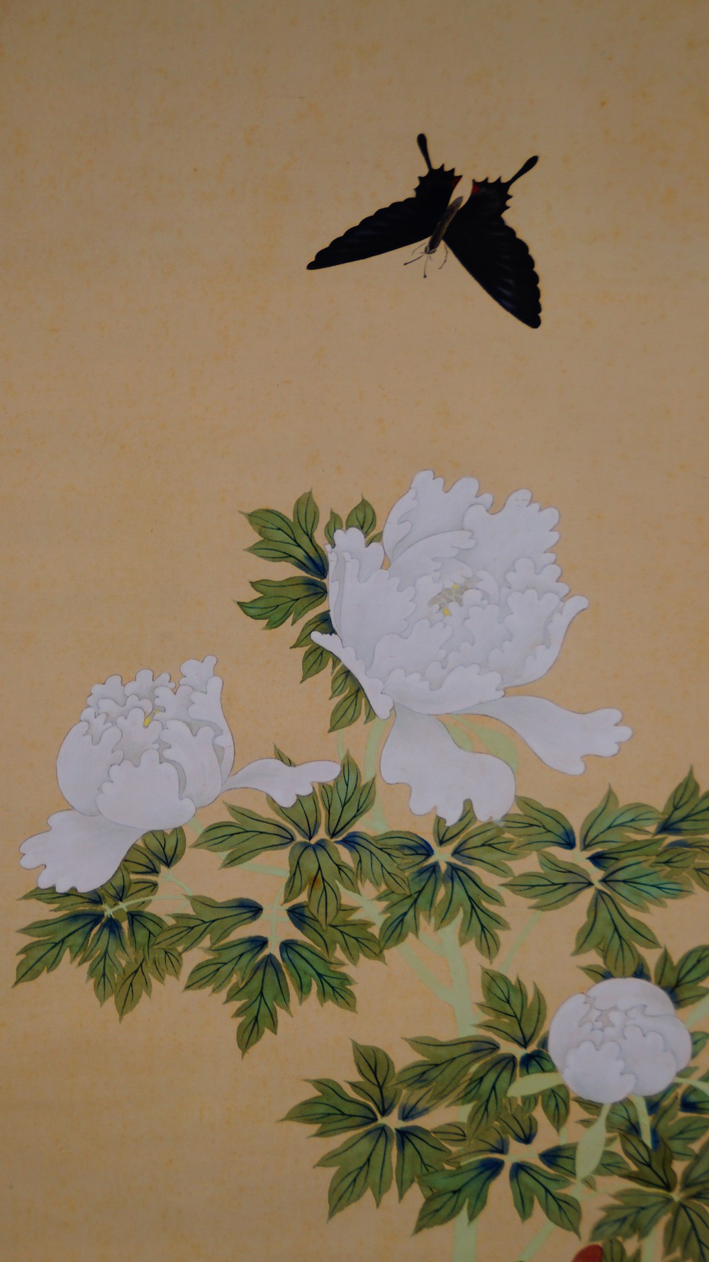 Butterfly over peony blossoms by Ryokuro butterfly motif close-up