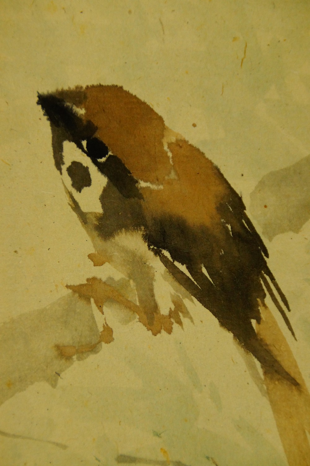 Sparrow on Bamboo Branches kakemono by Matsuura Shodo sparrow motif close-up 2