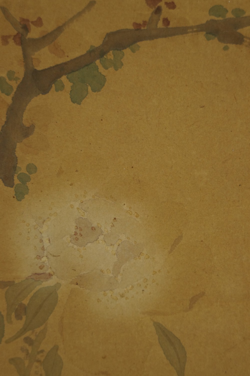 Flowers Motif Close-Up 5