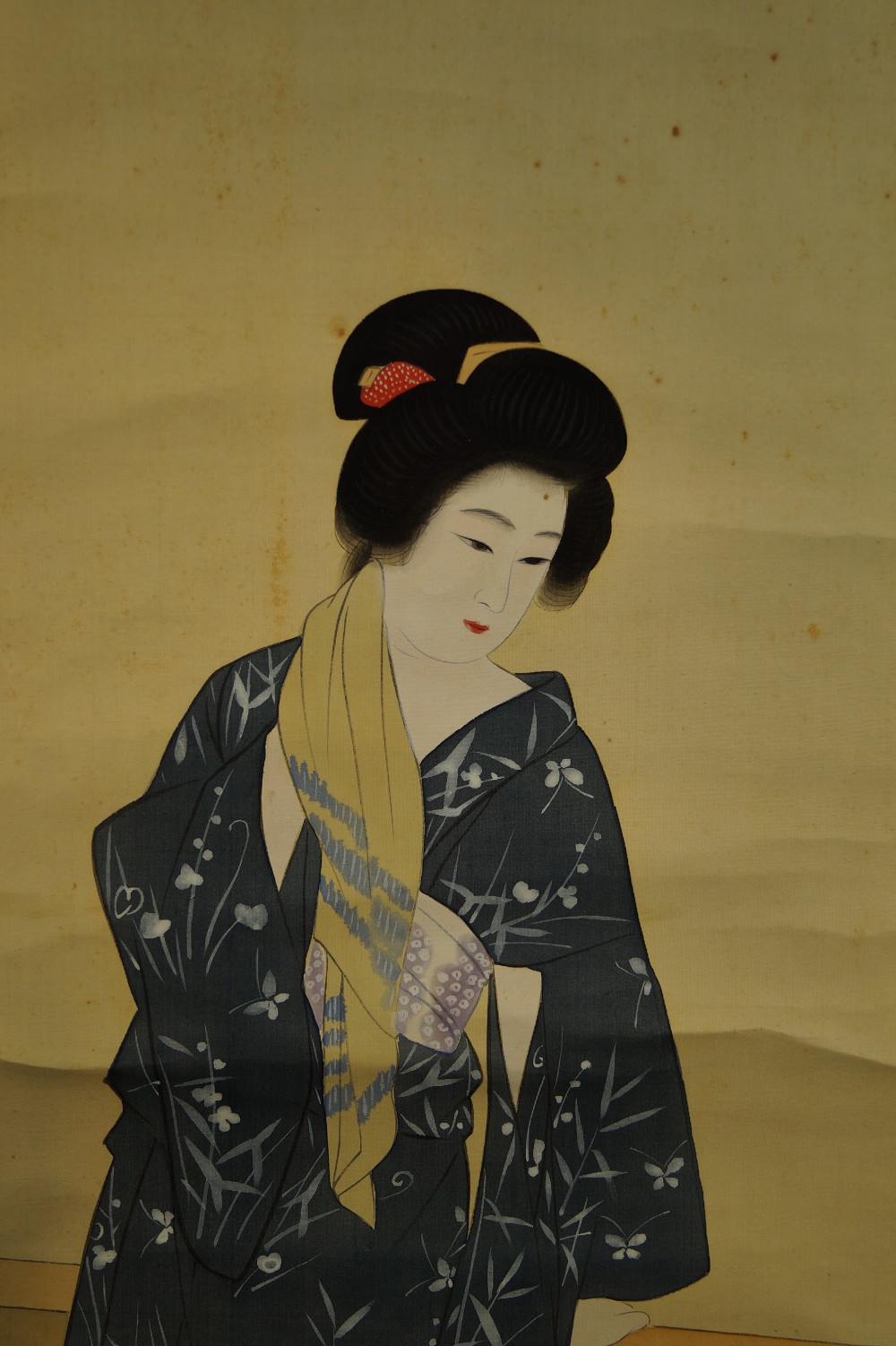 Beauty in Kimono Women's Motif Close-Up
