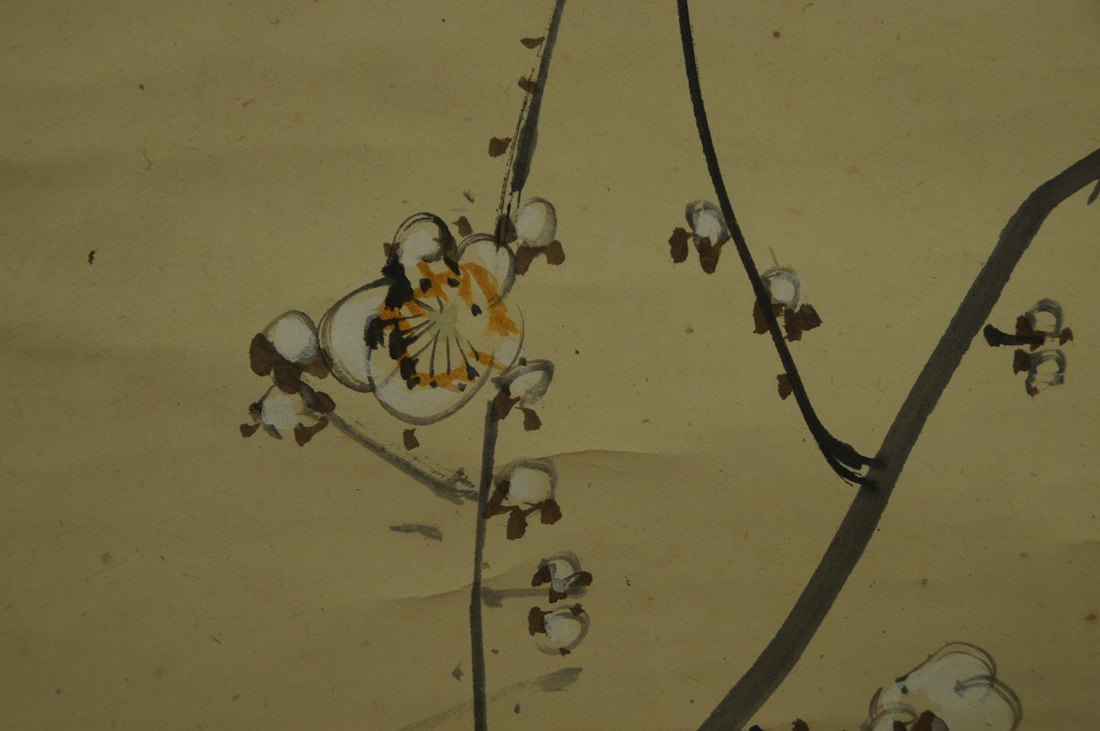 Crow on the Plum Branch Plum Blossoms Close-Up