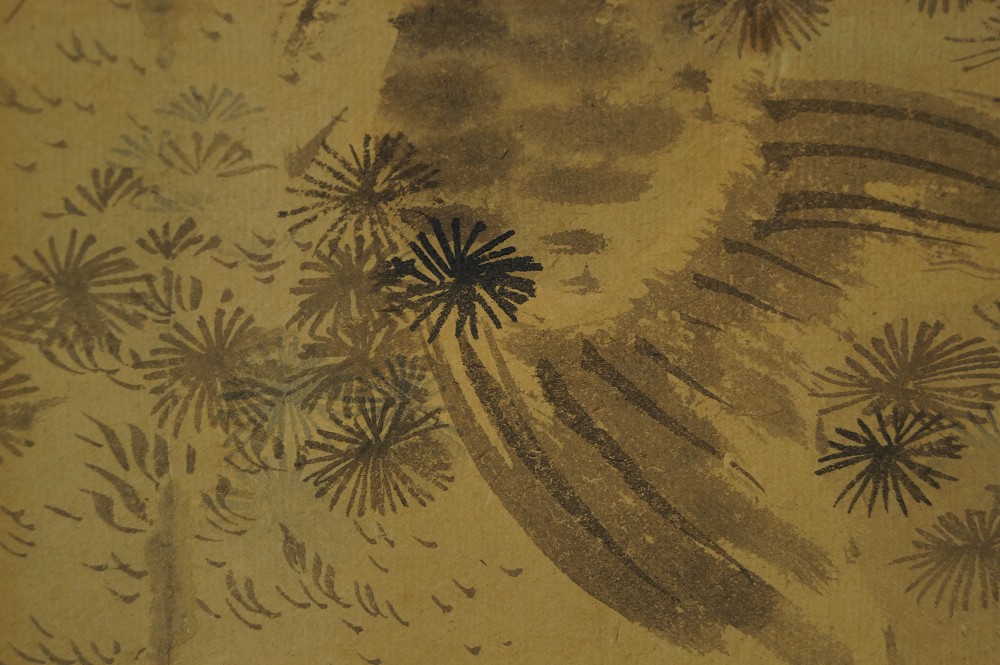 Koi hanging scroll water grass motif close-up
