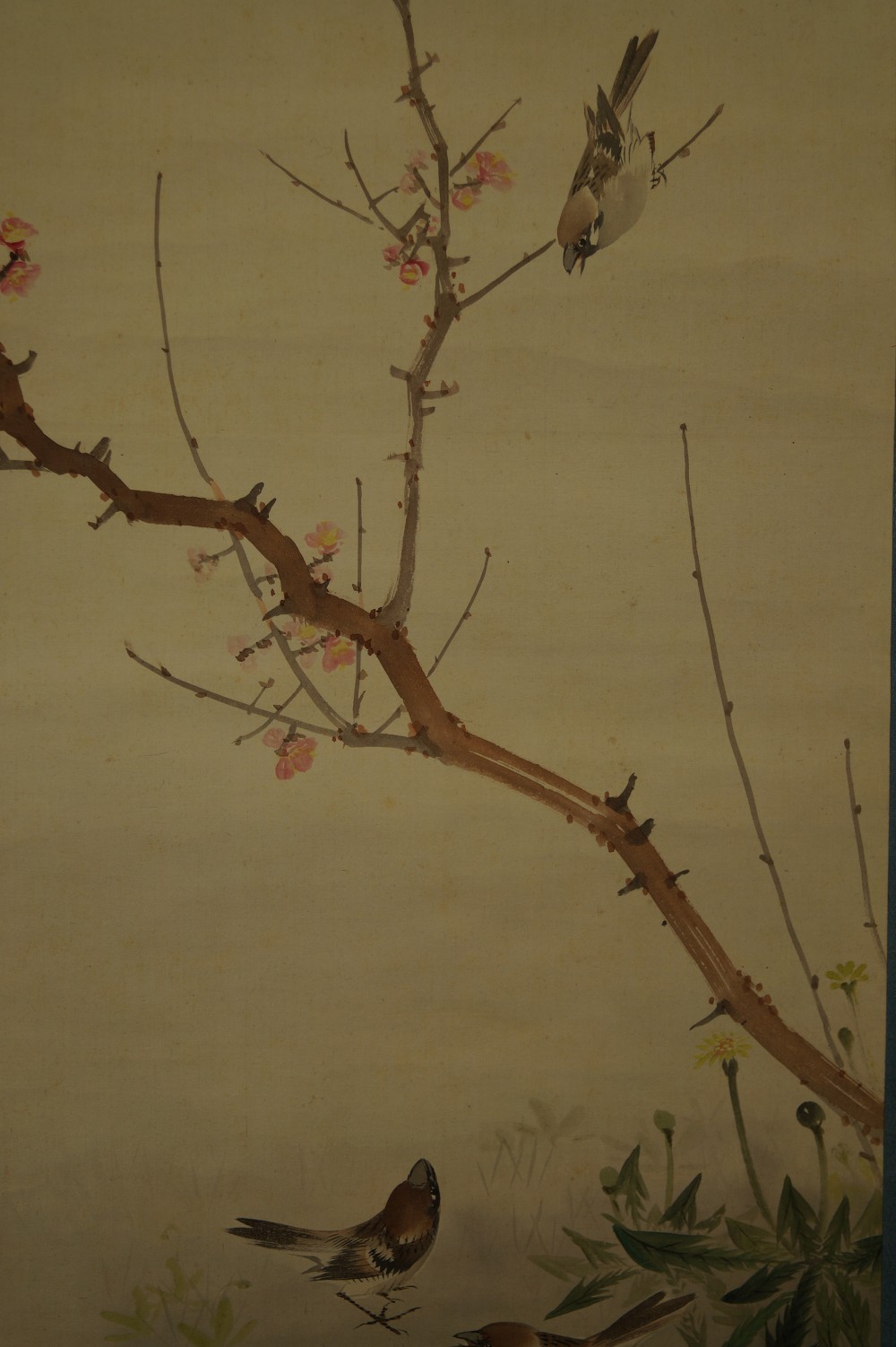 Sparrows on a Plum Tree Branch Hanging Scroll Plum Branch and Sparrows Close-Up 2