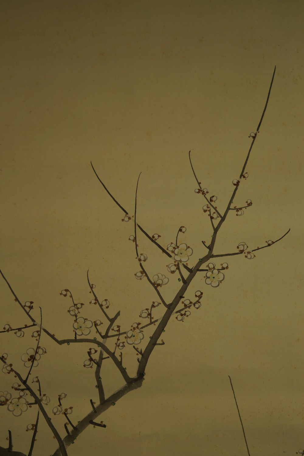 Sparrow and plum blossoms motif close-up 1