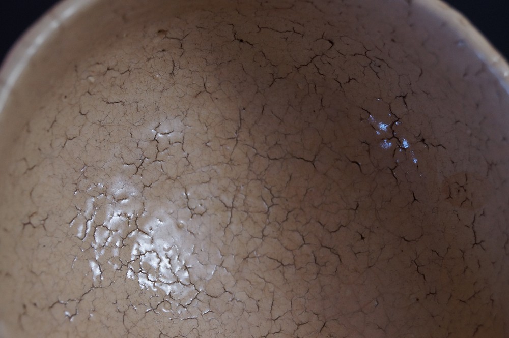 Close-up of the interior of the bowl with fine crackle structure