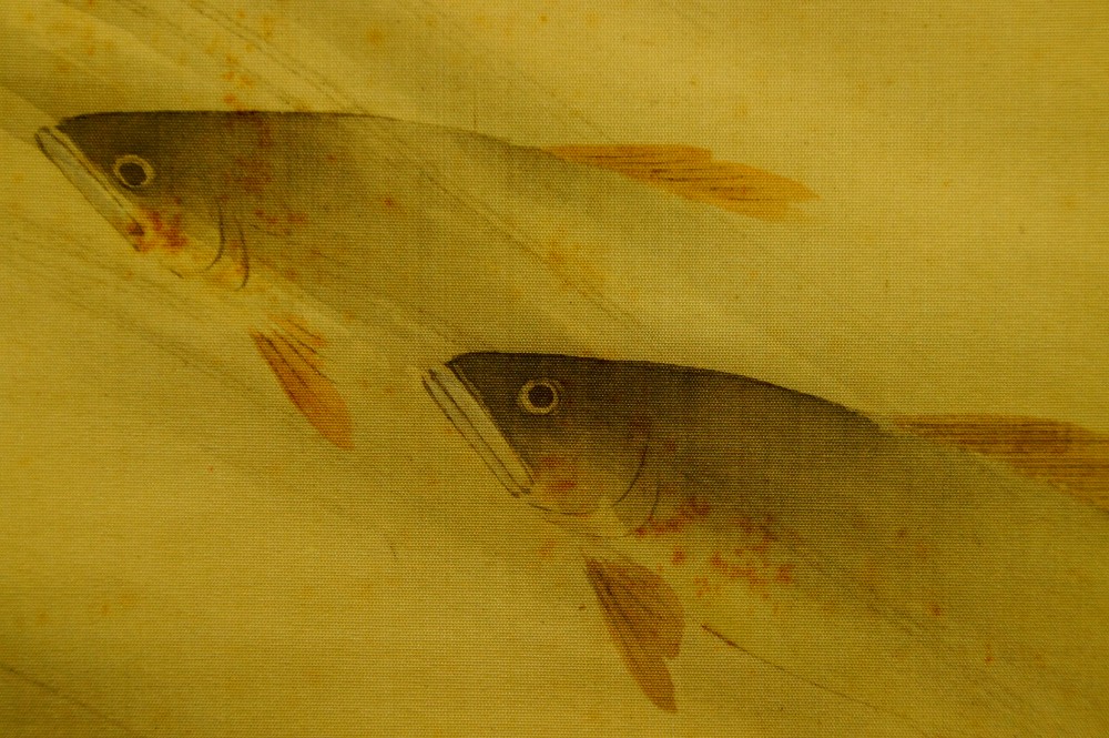 Two Trout in Water Kakemono by Akamatsu Unrei Trout Motif Close-Up 2