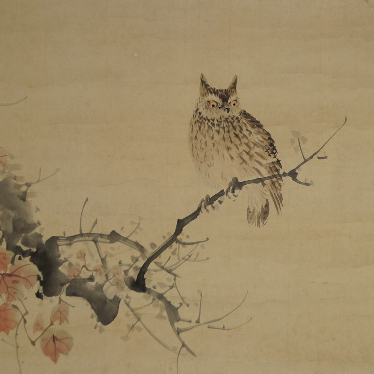Eule im Herbst von Yurin Ishikawa Motiv Nahaufnahme Vorschau