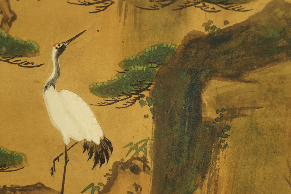 Horai-Berg Kranich Nahaufnahme