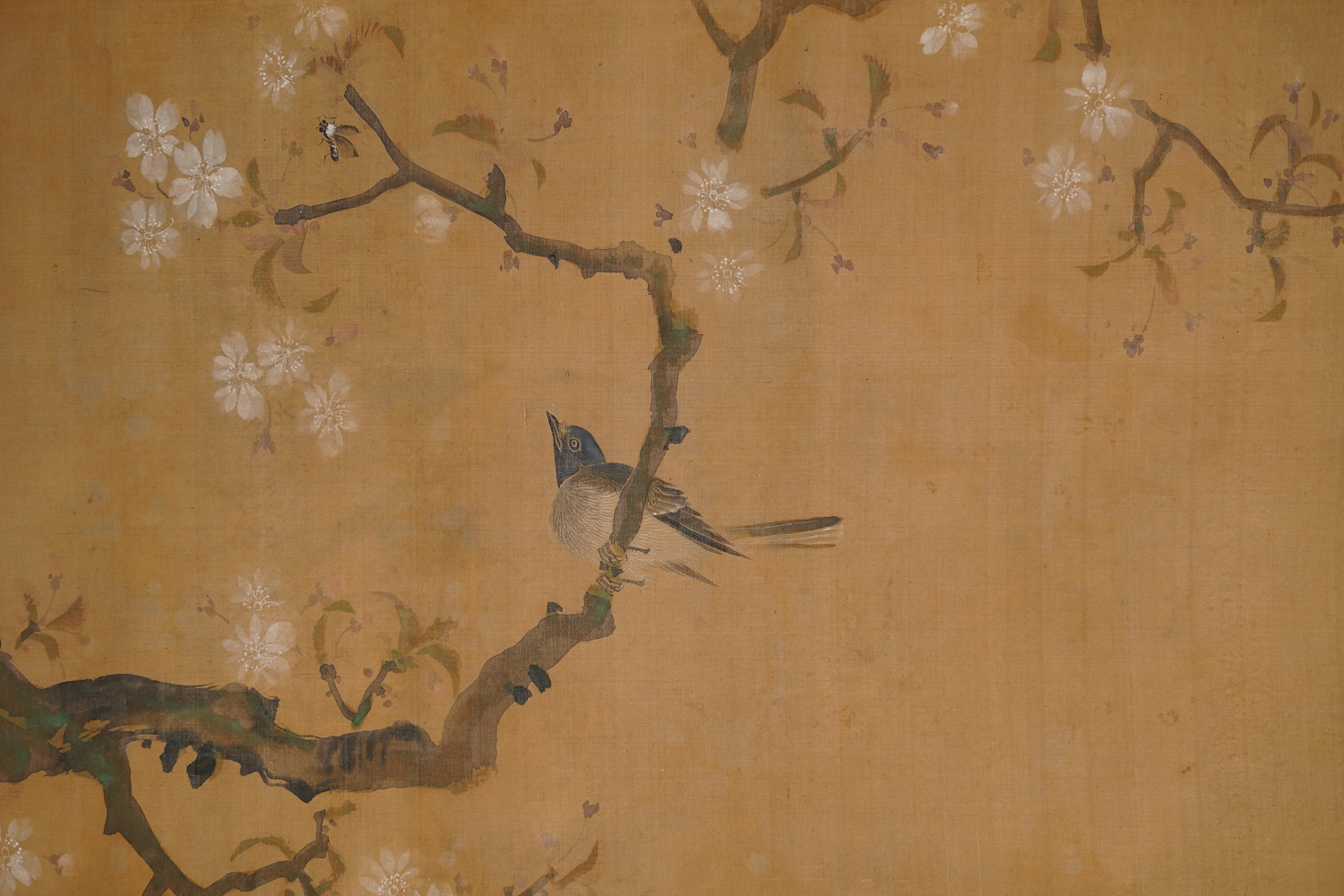 Close-up of the songbird on the blossoming cherry branch in the kakemono Songbird on Blossoming Cherry Branch