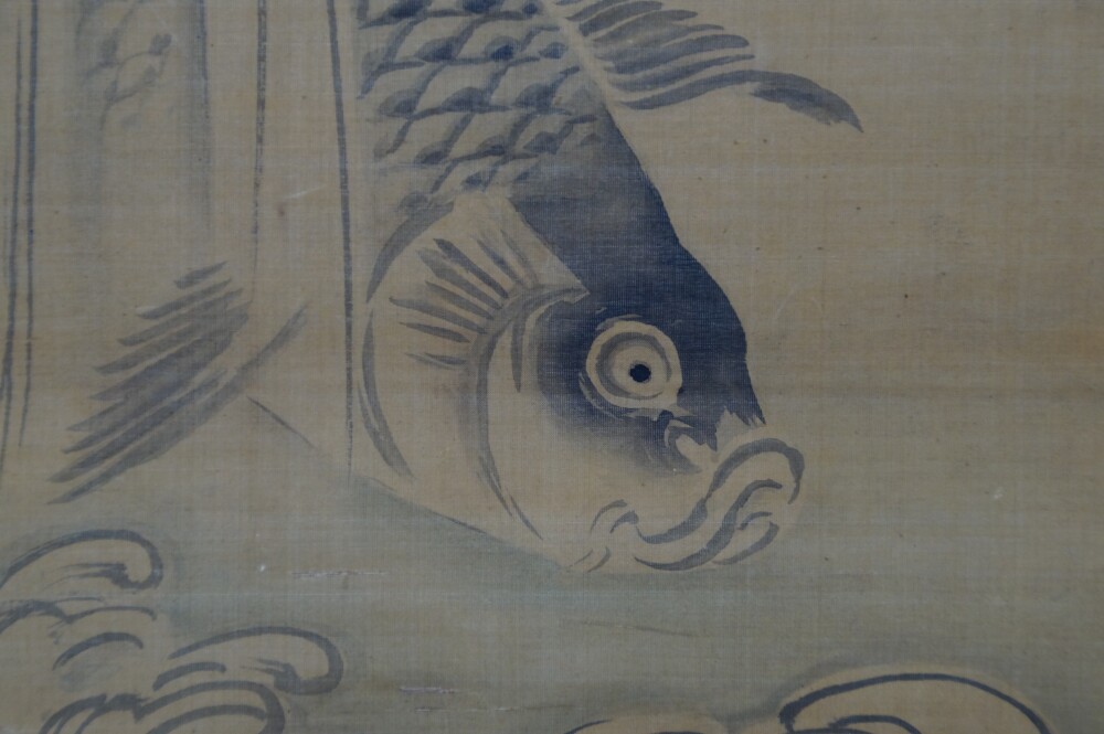 Extreme Nahaufnahme des Karpfenkopfes mit Auge und Kiemen in der Wasser-Rolle des Kakemono-Sets von Kano Eihaku