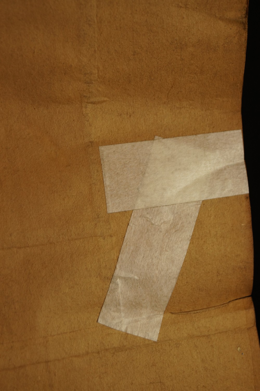 Bodhidharma Kakemono Repair Spot Close-Up Back