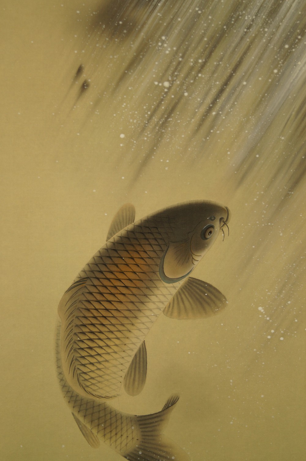 Koi at Waterfall Hanging Scroll Koi Motif Close-Up 1