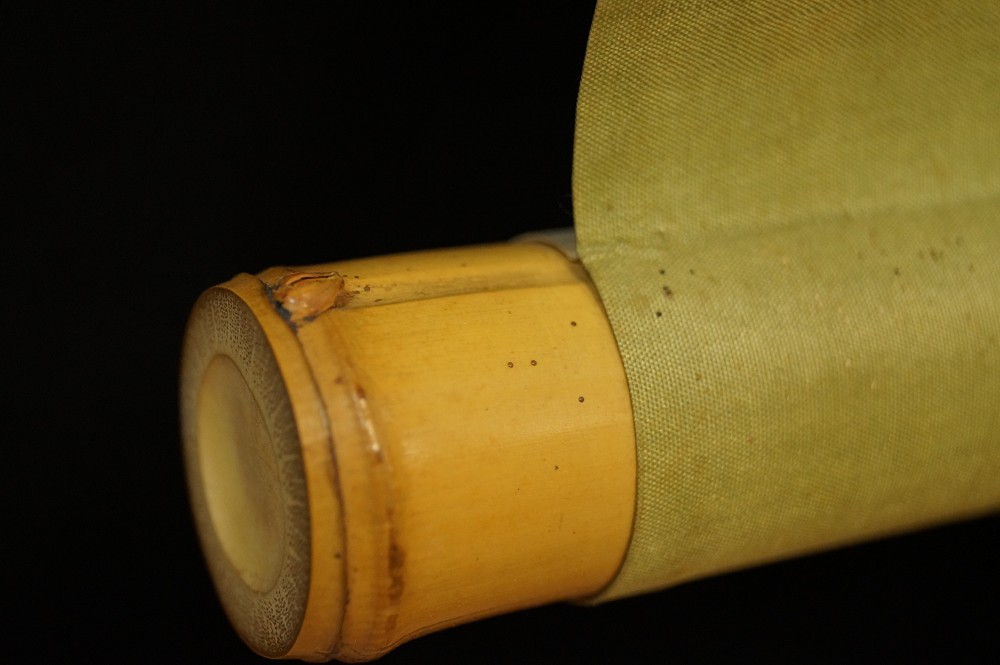 Japanese hanging scroll dragonfly by Kazuyo Okutani scroll detail