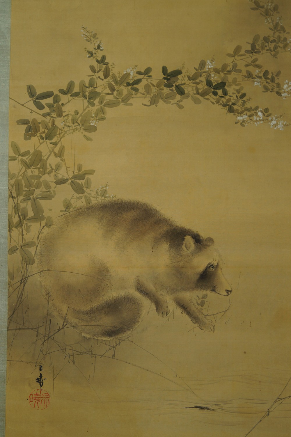 Kakemono Raccoon Dog Motif Close-Up