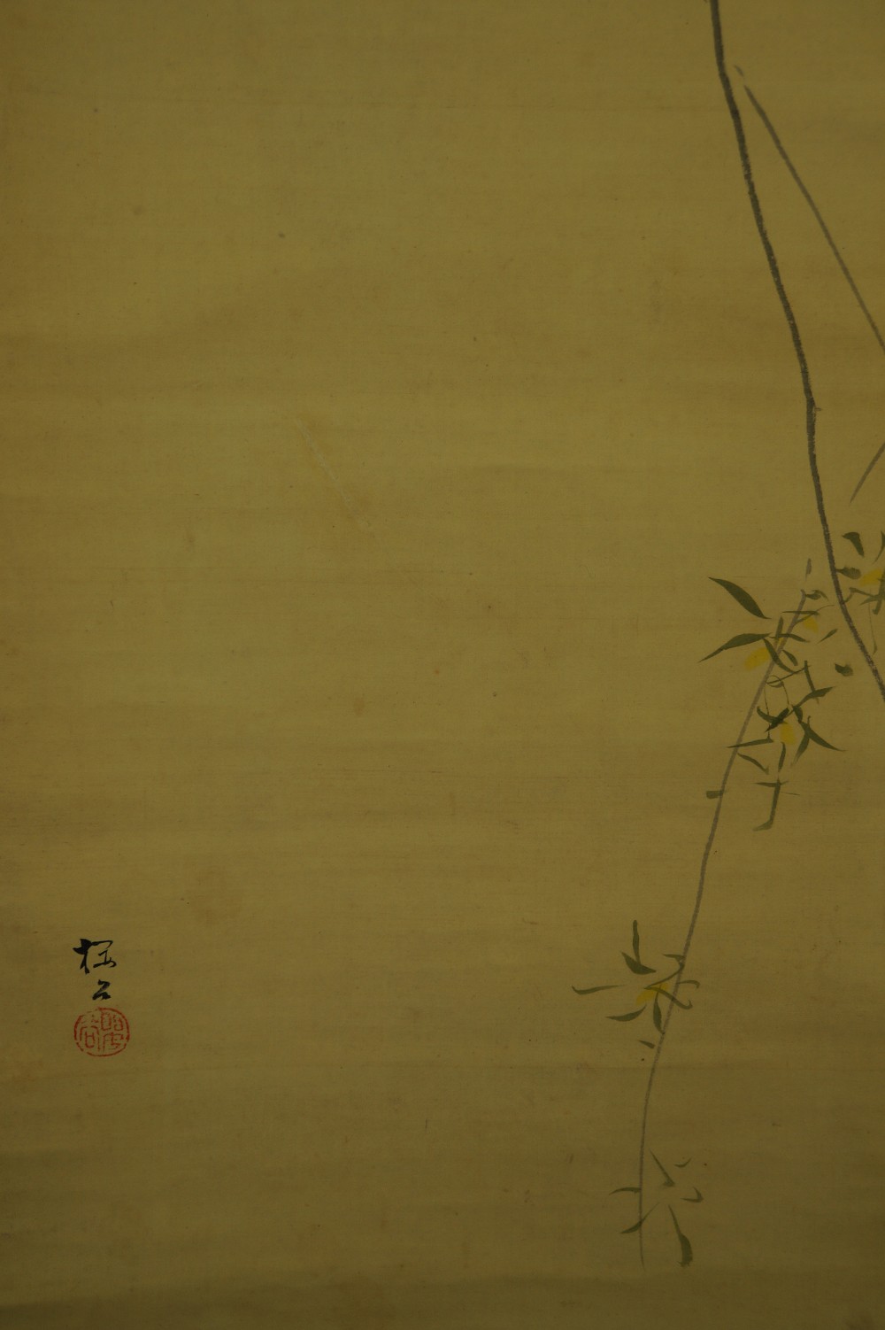 Bird on a Willow Branch by Kijika Sakuradani Willow Branch Close-Up