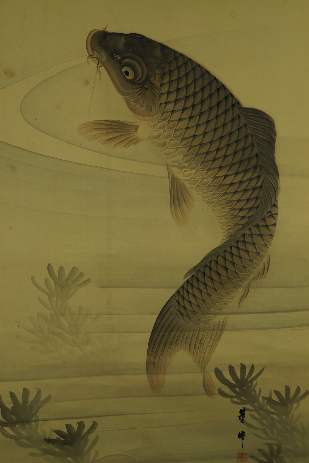 Another full motif of the jumping carp with water plants without mounting