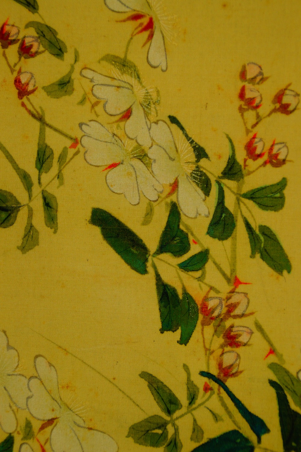 Two trout in water hanging scroll by Akamatsu Unrei blossom motif close-up 4