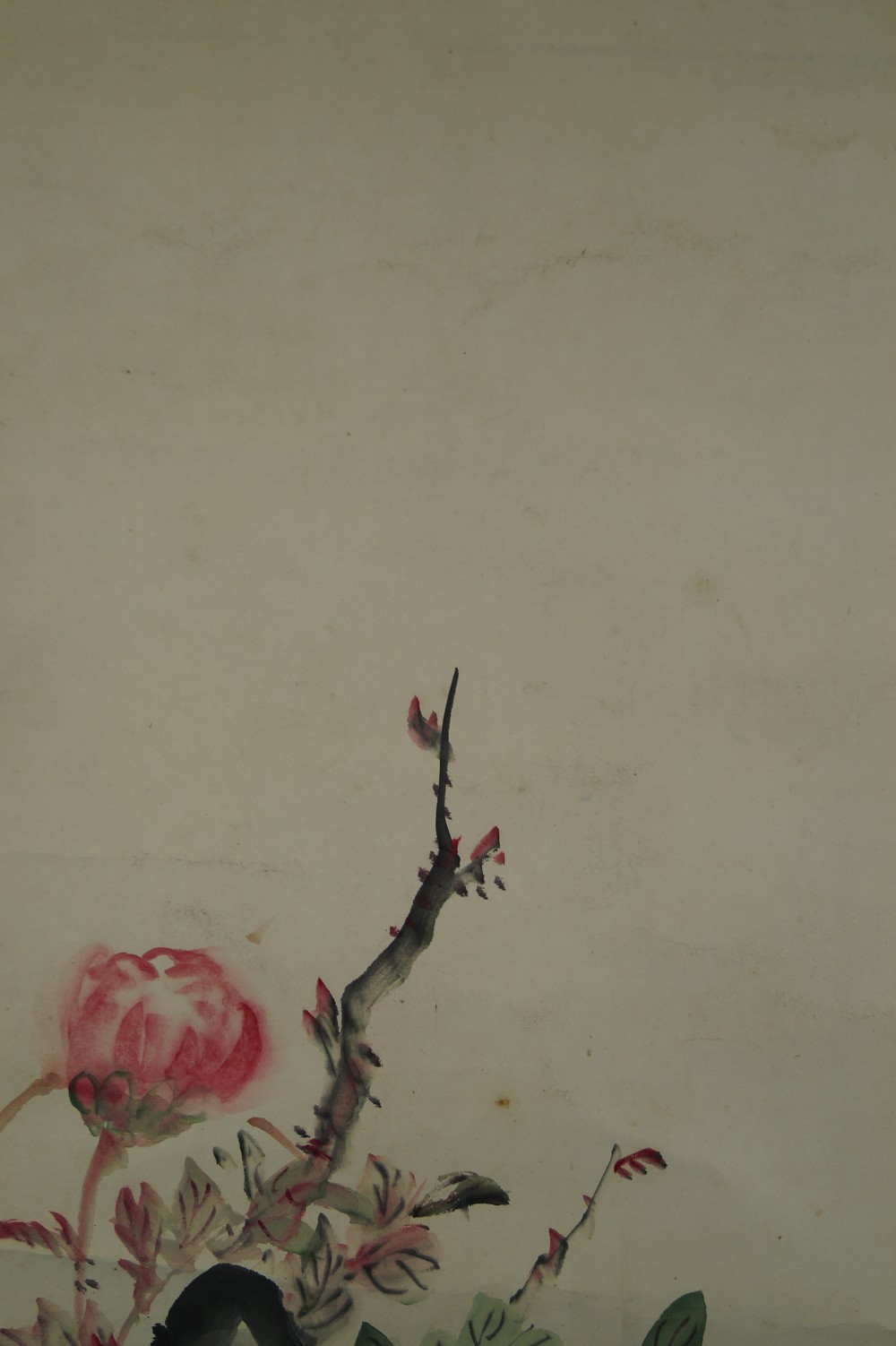 Peony Hanging Scroll Peony Motif Close-Up 1
