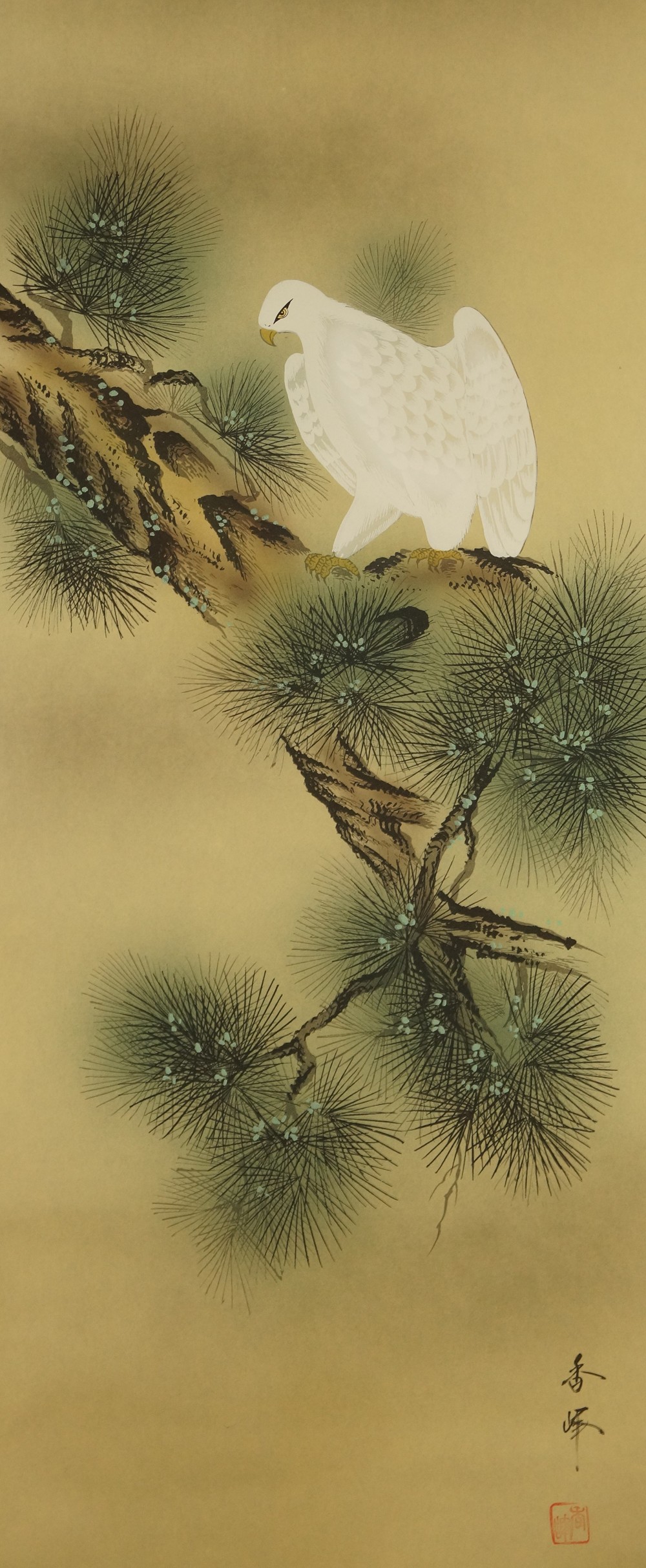 Falke auf der Kiefer - japanisches Rollgemälde (Kakejiku, Kakemono)