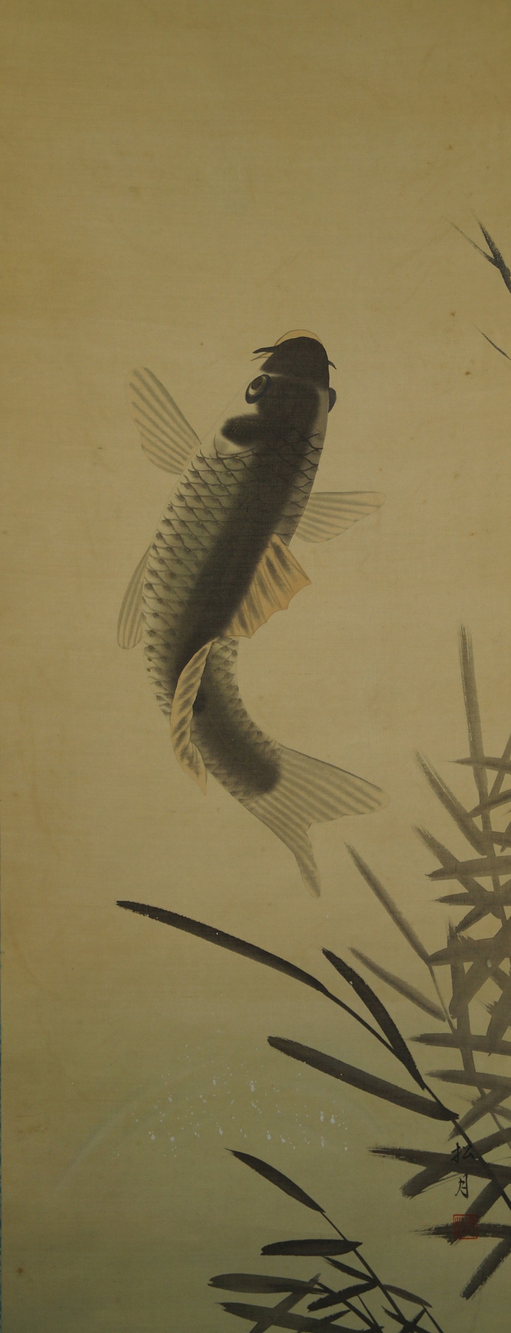 Koi Hanging Scroll Full Motif Without Mounting