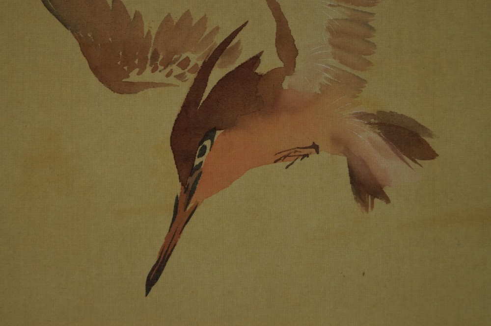 Head and Beak of the Kingfisher Close-Up Motif Close-Up 4