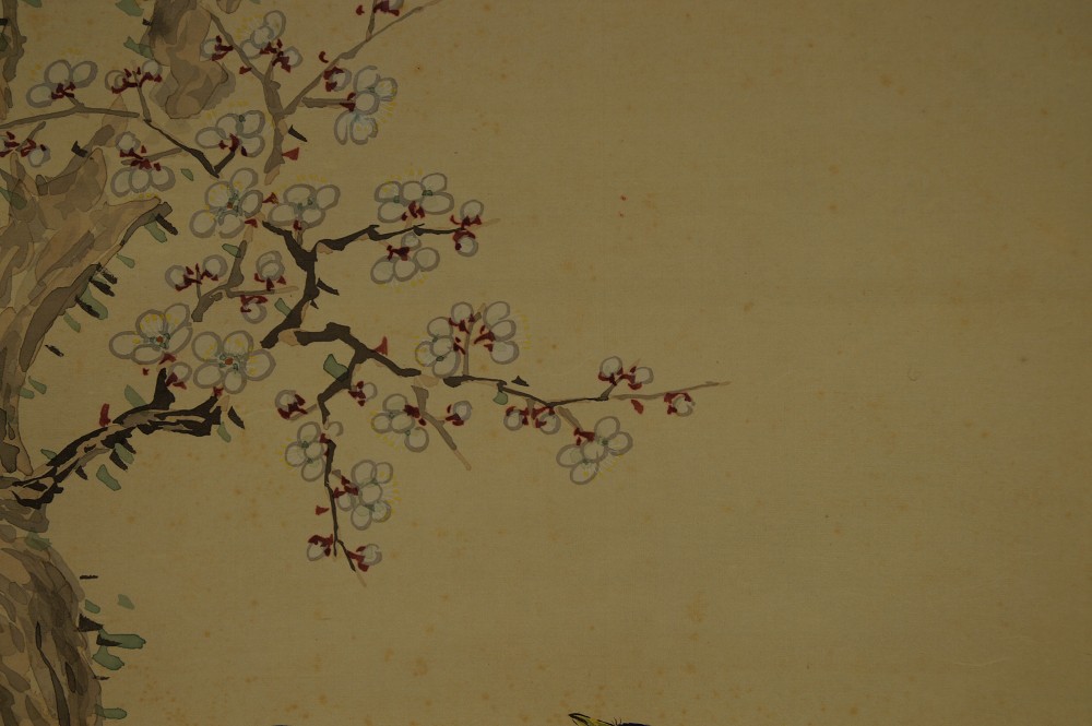 Sakura Blossom Branch Close-Up 2