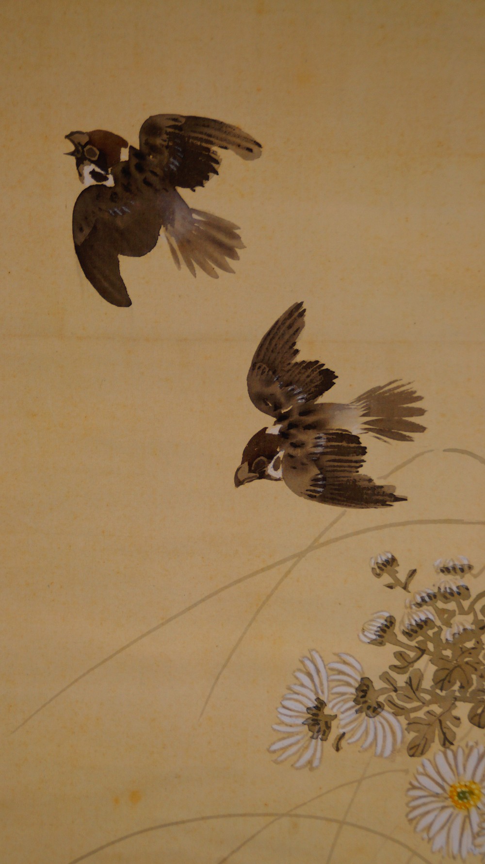 Sparrows Over Chrysanthemums Kakemono by Fukui Kotei Sparrows Motif Close-Up
