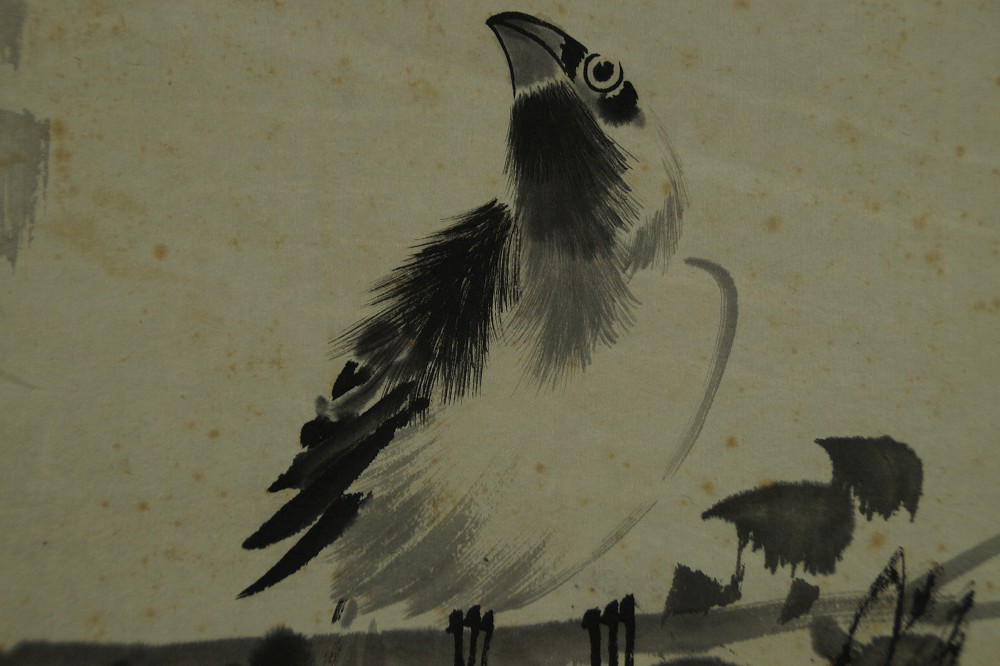 Close-Up of the Lower Bird with Alertly Raised Head