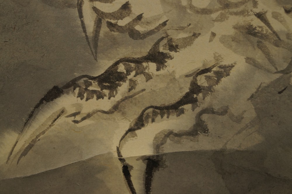 Brushwork Close-Up Claws of the Dragon