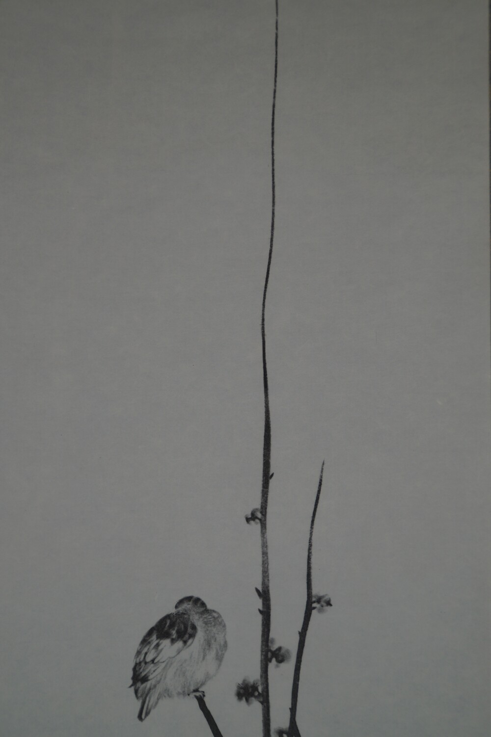 Close-up of the thin plum branch without the bird in the sparrow scroll of the triptych after Miyamoto Musashi