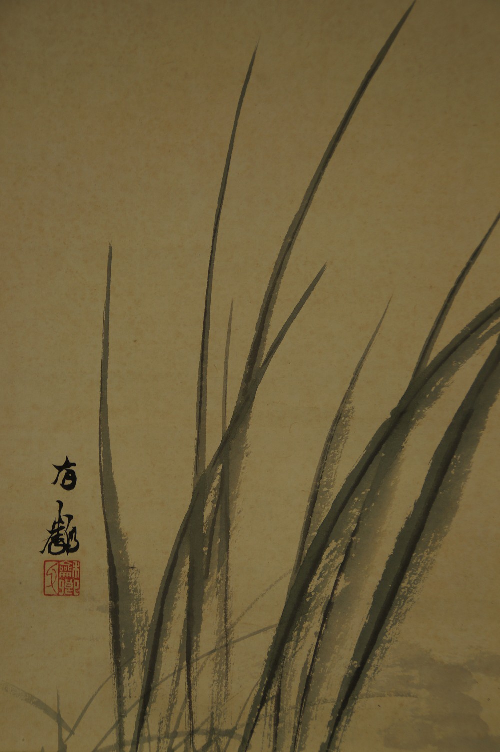 Close-Up of the Slender Blades of Grass Without the Beetle