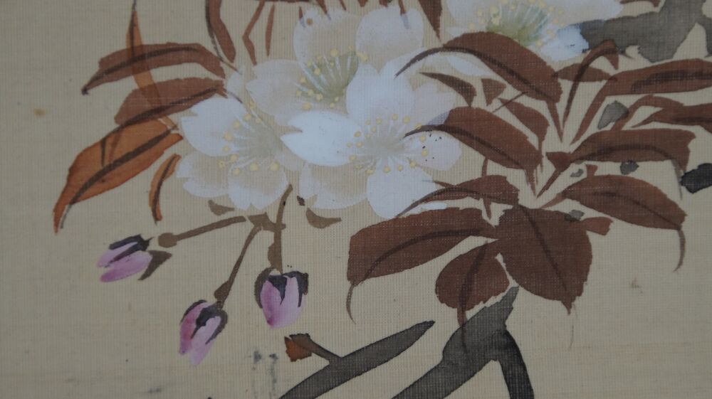 Close-Up of the White Cherry Blossoms and Buds in the Hanging Scroll Singing Bird on a Cherry Blossom Branch